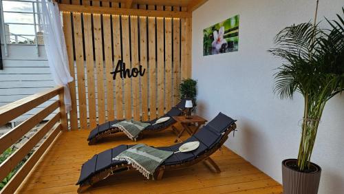 a room with two chairs and a potted plant at Ahoi Hause 17 in Drage
