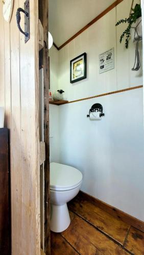 a bathroom with a white toilet in a room at Treguth Glamping Unique Experience - Themed Huts in Saint Day