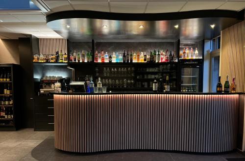 Lounge nebo bar v ubytování Radici