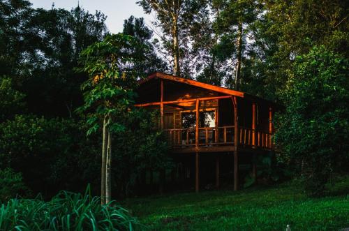 a tree house in the middle of the forest at ECOLODGE PIEDRA Y AGUA in El Soberbio