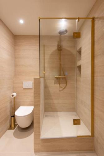 une salle de bain avec toilettes et douche en verre dans l'établissement Basfroi Apartment Cosy 4, à Paris