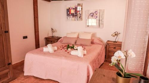 a bedroom with a pink bed with towels on it at CHC - La Oliva II in Buenavista del Norte