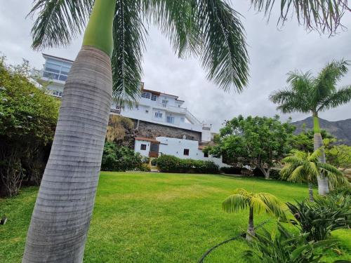 un palmier dans une cour avec un bâtiment en arrière-plan dans l'établissement CHC - Casa del Abuelo II, à Buenavista del Norte