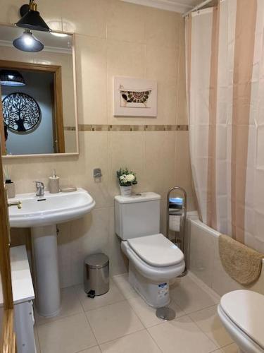 a bathroom with a toilet and a sink at Alojamiento fiordos leoneses Boñar in Boñar