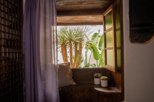 Gambar di galeri bagi Tulia Guesthouse & Coworking di Los Realejos
