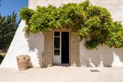 メーズにあるSaint Paul le Marseillais Gitesの木が上に生えている家のドア