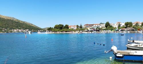 a lake with boats and ducks in the water at Toma's Apartment in Grebaštica