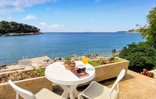 Pet Friendly Home In Blato With Kitchen