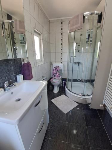 a bathroom with a sink and a toilet and a shower at Âme de la nature in Nedeščina