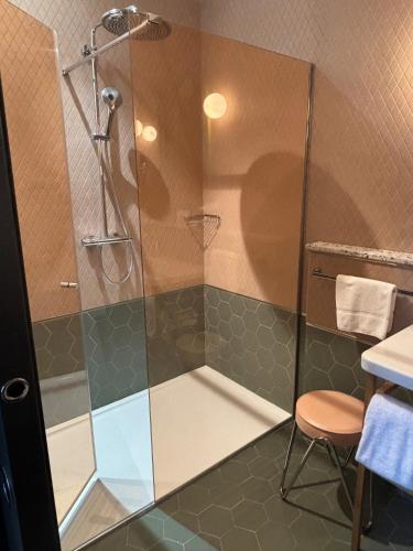 a shower with a glass door in a bathroom at Hotel De Cambis Best Western Premier Collection in Avignon
