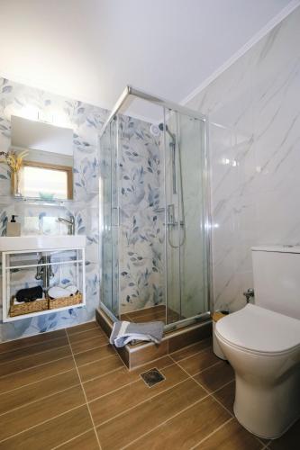 a bathroom with a shower and a toilet at Nerea Apartments in Agios Ioannis Kaspaka