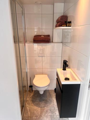 Koupelna v ubytování Lingeliefde Logement complete studio met eigen keuken en badkamer