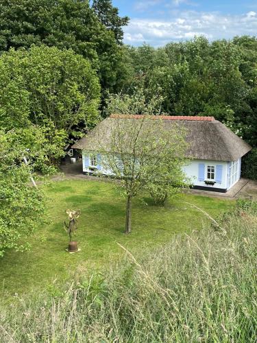 Příroda nedaleko bed and breakfast