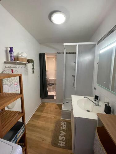 une petite salle de bain avec un lavabo et des toilettes dans l'établissement Studio centre ville, à La Rochelle