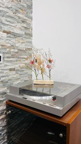 d'une télévision au-dessus d'un cabinet orné de fleurs. dans l'établissement Appartement Proche centre ville avec Parking Gratuit, à Annecy