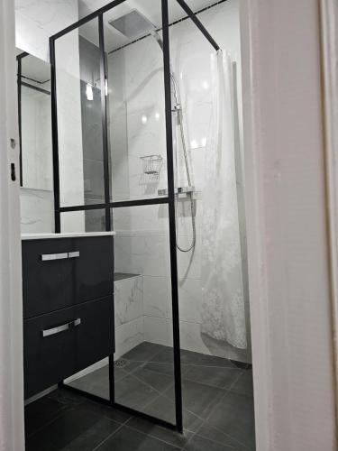 une salle de bain avec une douche avec une porte vitrée dans l'établissement appartement proche aéroport, à Nice