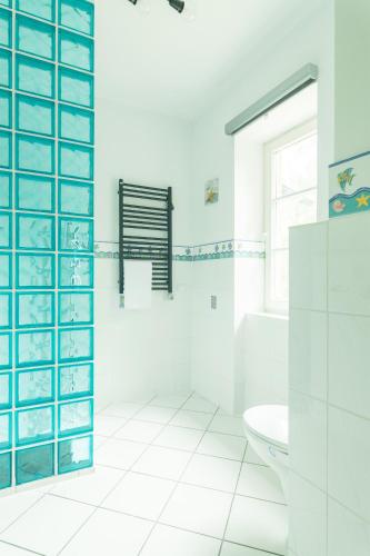 a bathroom with a toilet and a glass shower door at Apartamenty Na Klifie Przystań 18 Chłapowo in Władysławowo