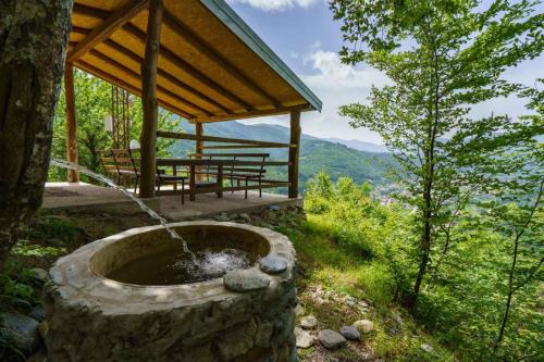 a stone tub in the grass next to a tree at Oaza Mira - Sakina Pecina in Fojnica