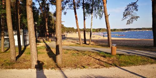 a park with a beach and trees and a sidewalk at Extra Apartament Leśny Miodek Sielpia Wielka in Sielpia Wielka