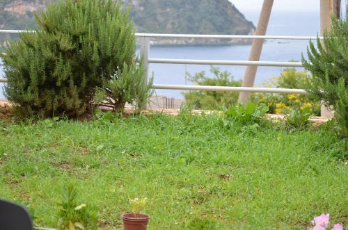 a garden with a view of the water at Harmonia Himara in Himare