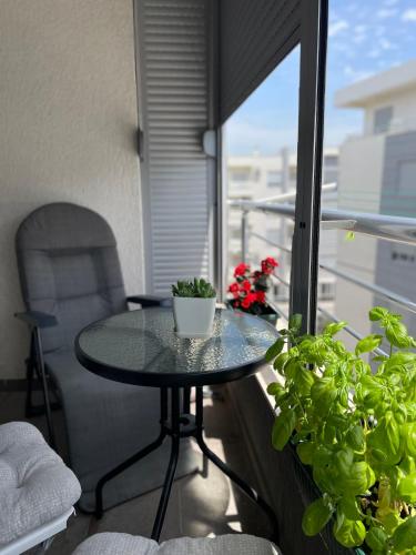 Gallery image of IL FIORE in Ulcinj
