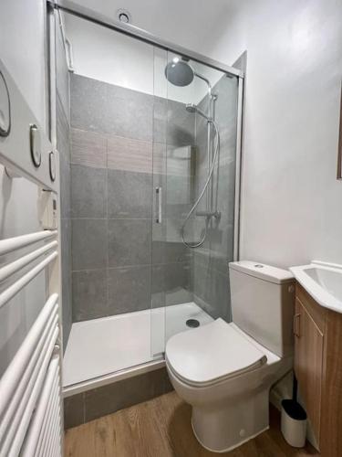 une salle de bain avec une douche, des toilettes et un lavabo dans l'établissement Studio équipé et rénové, centre historique, à Aix-en-Provence