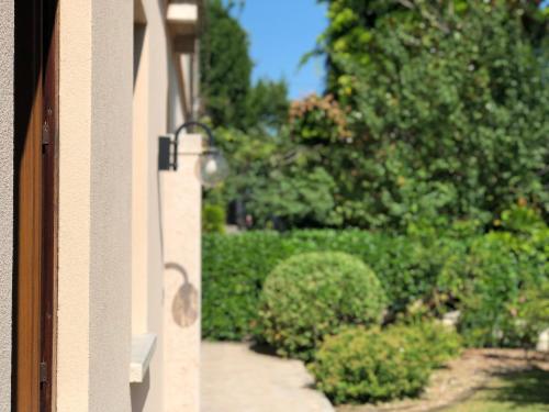 a door with a view of a garden with bushes at B&B da Monsignore in Crespano del Grappa
