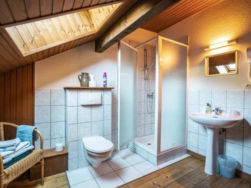 une salle de bain avec toilettes, un lavabo et une douche dans l'établissement Spacieux chalet 7 pièces, 6 salles de bains, 14 personnes, proche centre et remontées, Châtel - FR-1-676-152, à Châtel