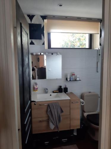 une salle de bain avec un lavabo et des toilettes dans l'établissement Maison de charme, à La Rochelle