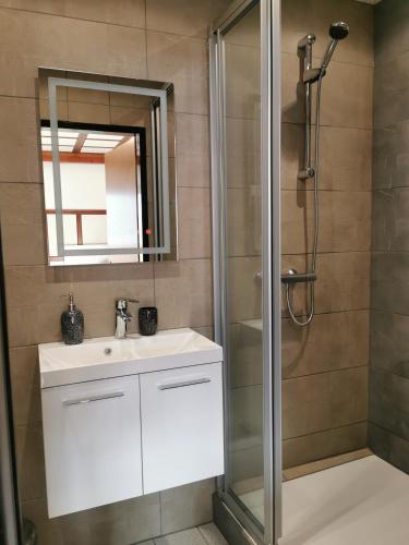 a bathroom with a sink and a shower at Alpenblick FeWo Hauser in Reisach