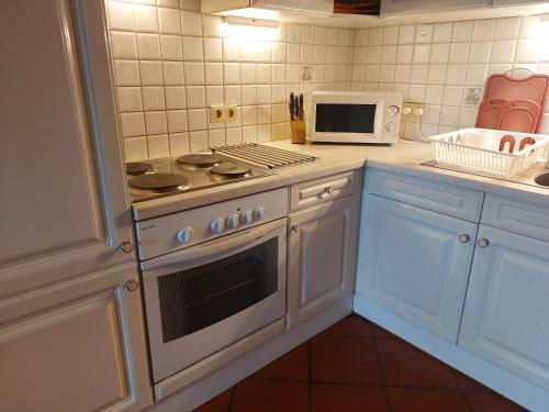 a kitchen with a stove and a microwave at Alpenblick FeWo Hauser in Reisach