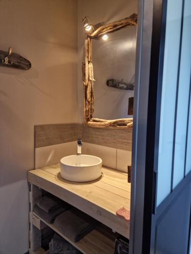 a bathroom with a sink and a mirror at le Paradis in La Noue