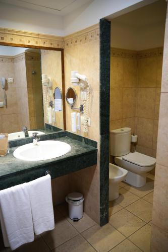 a bathroom with a sink and a toilet at Ohtels Cabogata in Retamar