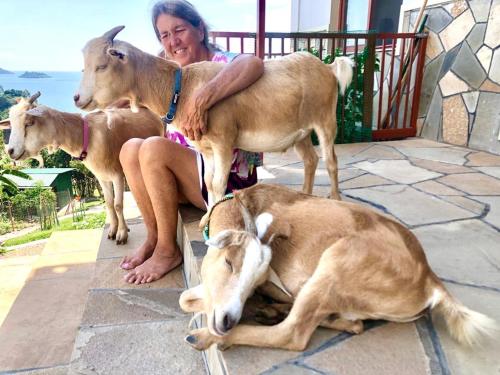 a woman sitting on the ground with three goats at Amazi Land Home and Farm Stay in Kibuye