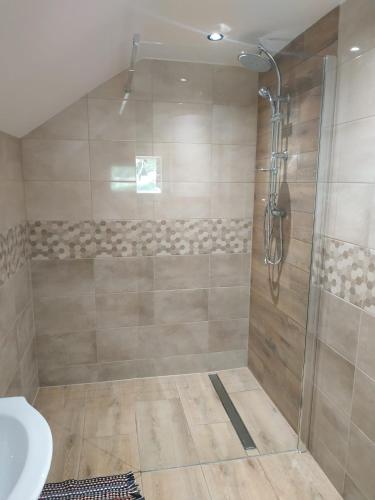 a bathroom with a shower with a toilet and a sink at Ranczo pod lasem in Lubenia