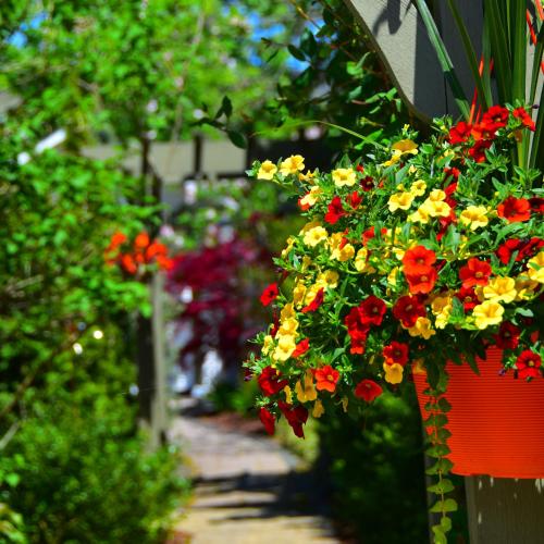 a bunch of flowers in a pot in a garden at Explorer House Bed & Breakfast in Niagara on the Lake