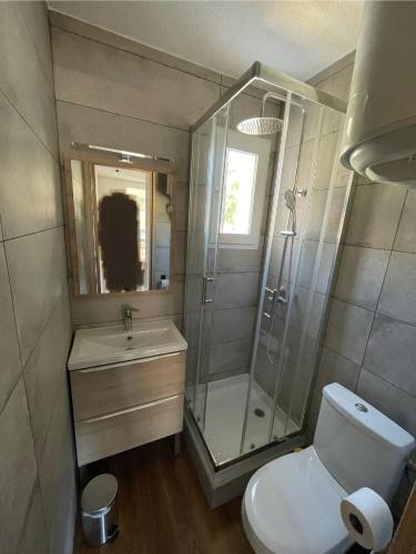 une salle de bain avec une douche, des toilettes et un lavabo dans l'établissement Appartement plage du cap Rousset carry le rouet 1 chambre 6 couchages, à Carry-le-Rouet