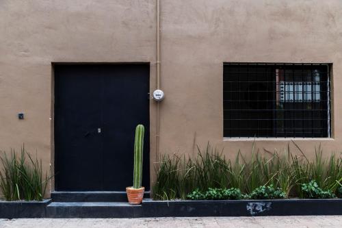 un cactus sentado frente a una puerta negra en New Condesa Room Modern Comfort, en Ciudad de México