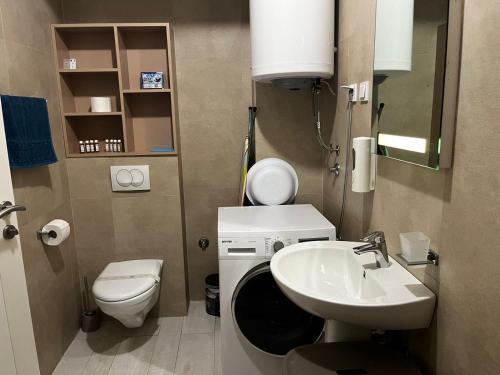 a small bathroom with a toilet and a sink at Apartments Bane in Herceg-Novi