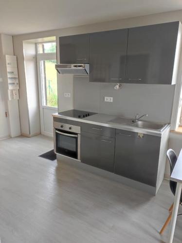 Il comprend une cuisine équipée d'une cuisinière en acier inoxydable et d'un évier. dans l'établissement Un air de campagne, à Orliénas