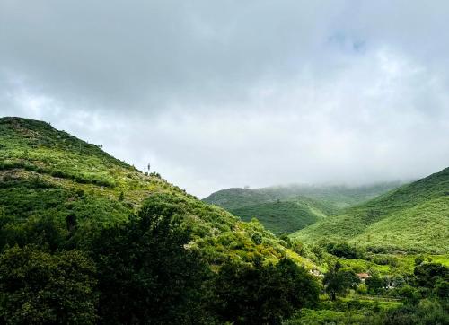 a misty valley with green hills and trees at Casa da Touça in Arcos de Valdevez