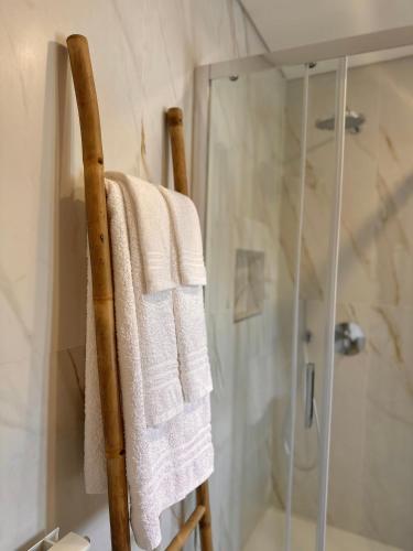 a bathroom with a towel rack and a shower at Casa da Touça in Arcos de Valdevez