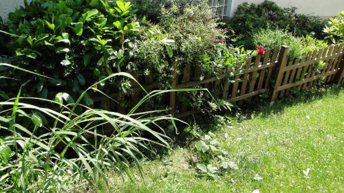 a wooden fence in a garden with plants at Ferienhaus Paschke Möhnesee Zentrum in Möhnesee