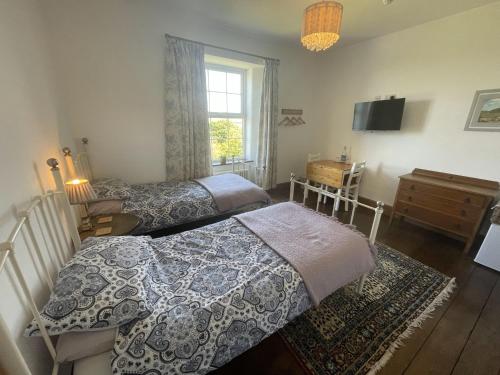 a bedroom with two beds and a tv and a window at Treganoon House, Lanlivery in Bodmin