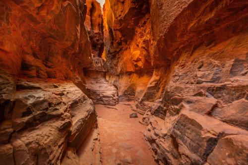 a view of a canyon with a path in it at Wadi Rum Desert Adventures in Wadi Rum