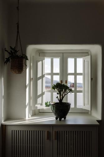 a window with a potted plant in front of it at César Lanzarote Luxury Boutique Hotel - Adults Only in La Asomada