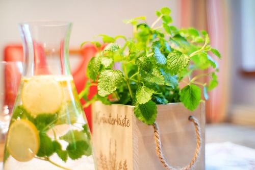 a vase with a plant in it next to a drink at Ferienhof Schütz in Eschlkam