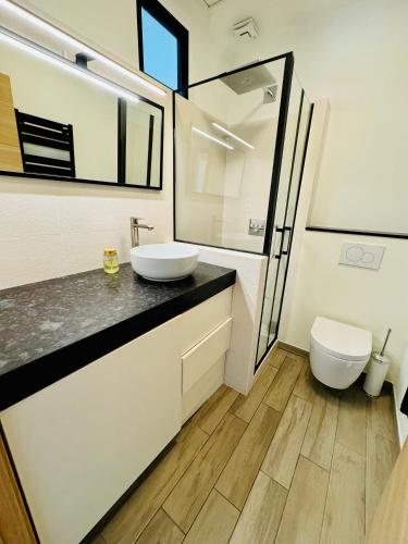 une salle de bain avec un lavabo et des toilettes dans l'établissement Appartement 2 chambres Le Willemi - St Tropez, à Saint-Tropez