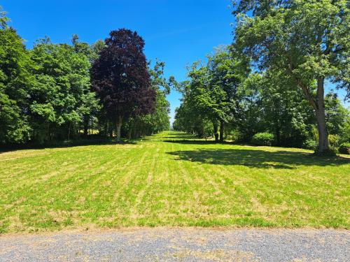 un champ d'herbe avec des arbres et un ciel bleu dans l'établissement Château d'Agy, à Agy