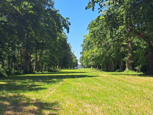 un champ d'herbe planté d'arbres au loin dans l'établissement Château d'Agy, à Agy